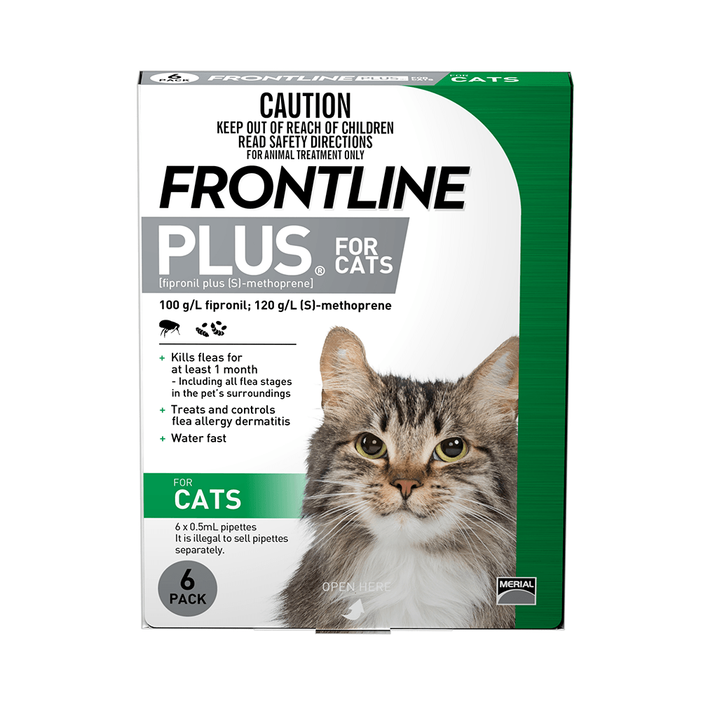 frontline worm treatment for cats